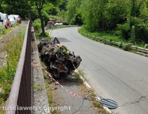 Viterbo - Tronco d'albero tagliato sul marciapiede di viale Diaz