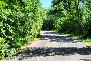 La strada che collega Blera e Monte Romano