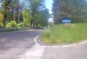 Viterbo - Erba alta in strada Romana