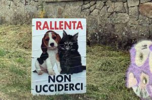 Viterbo - I cartelli in Strada Romana