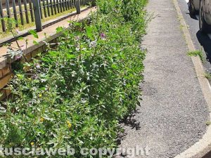 Viterbo - Marciapiede ai Cappuccini