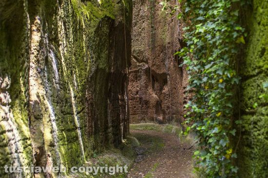 Le forre di Corchiano
