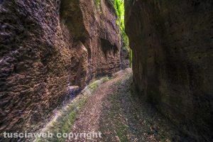 Le forre di Corchiano