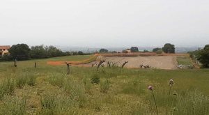 Montefiascone - Allevamento intensivo di galline ovaiole - Inizio cantiere