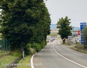 Viterbo - Getti di alberi sulla Cassia Nord