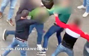 Viterbo - Rissa in piazza del Comune