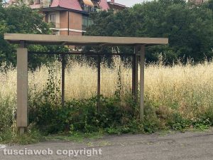 Viterbo - Via della Mazzetta