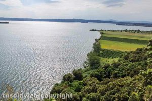 Il lago di Bolsena visto dal Monte Bisenzio