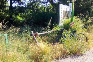 Fabrica di Roma - Degrado lungo il percorso natura