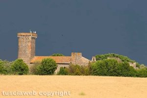 Il parco archeologico di Vulci