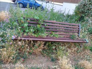 Viterbo - Erba alta nei giardini di via Ioppi