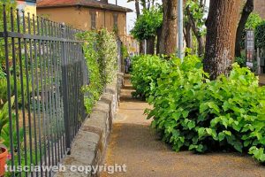 Viterbo - Incuria sul marciapiede di via Lorenzo da Viterbo
