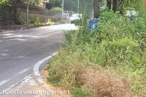 All'incrocio tra viale Fiume e via Pian di Quercia l’erba è più alta dell’autovelox