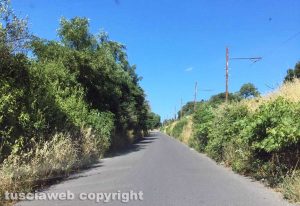 Viterbo - Siepi e rovi lungo strada Capretta