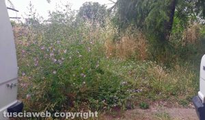 Viterbo - Via Giuseppe Ricci