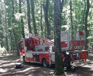 Vetralla - Gattino salvato dai vigili del fuoco