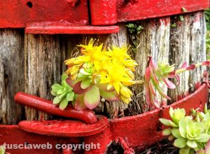 Torchio trasformato in fioriera