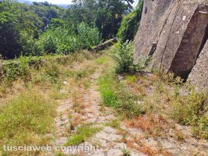Viterbo - Roccalvecce nel degrado