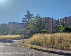 Bagnaia - Erbacce e buche in via Giovannetti