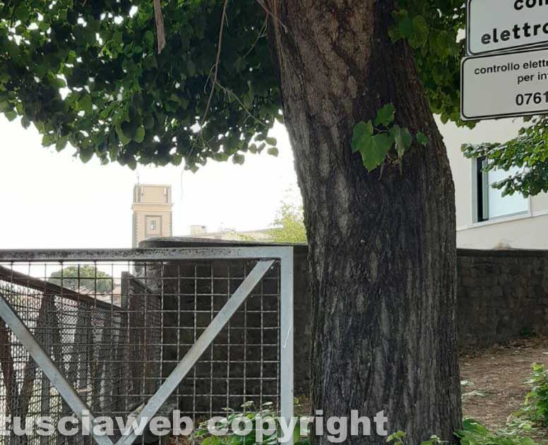 "Ho collocato l'armadio in via Chigi per farlo ritirare da Viterbo Ambiente e così è avvenuto" - Vimarsana News