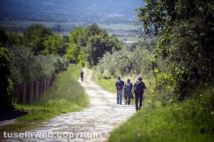 La via Francigena
