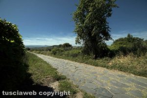 La via Francigena