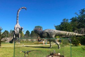 Diplodoco e Allosauro