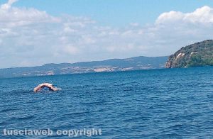 Un "delfino" al lago di Bolsena