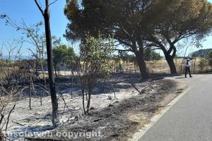 Bagnoregio - Incendio in strada Campolungo