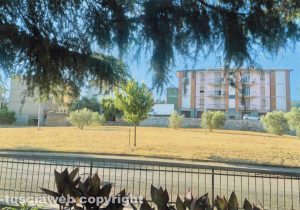 Bagnaia - Via Matteo Giovannetti ripulita