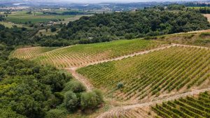 Castiglione in Teverina - Azienda Tre Botti