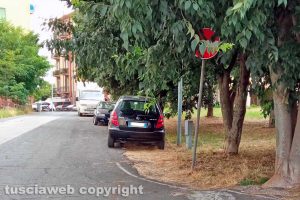 Viterbo - Segnale coperto dal verde in via Domenico Corvi