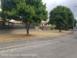 Viterbo - Via Castello Almadiano