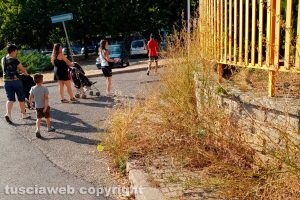 Incuria lungo i marciapiedi di Santa Barbara