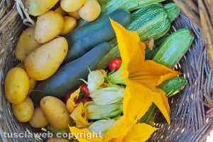 I colori dell'orto