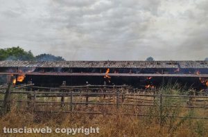 Incendio su strada provinciale Torretta tra Acquapendente e Grotte di Castro