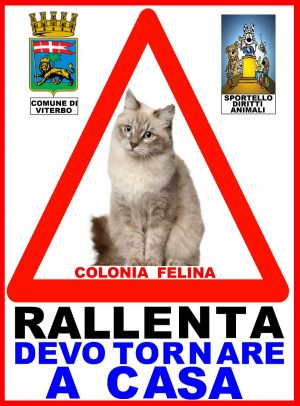 Il cartello contro la strage dei felini