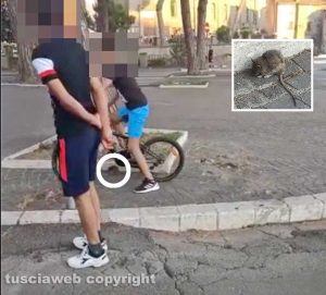 Viterbo - Il topo del Sacrario