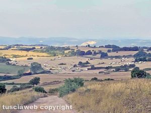 Valentano - Il rave a sgombero quasi finito