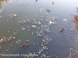 Tarquinia - Degrado alle Saline