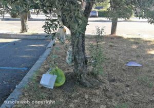 Viterbo - Immondizia e cocci di vetro al parcheggio del Sacrario