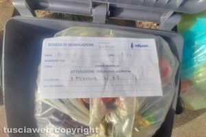 Vetralla - I rifiuti "bocciati"