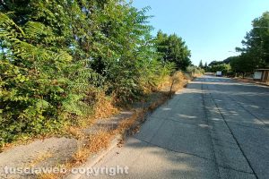 Viterbo - Incuria in via Sant'Anna