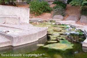 Viterbo - La fontana al Murialdo