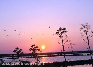 Tarquinia - Tramonto alle Saline