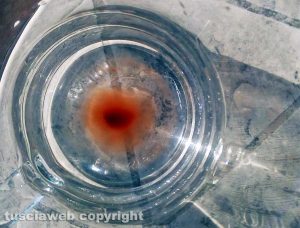 Viterbo - Residuo d'acqua a Carcarelle