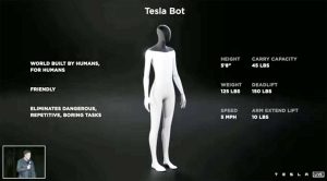 Il Tesla Bot