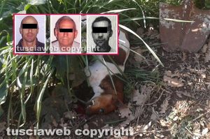 Uno dei due cani dell'ex sindaco uccisi a bastonate (nei riquadri i Pira)