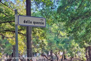 Montalto di Castro - Via delle Querce diventa via delle Quercie