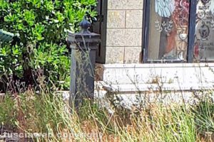 Viterbo - Fontanella seminascosta dalle erbacce al cimitero
